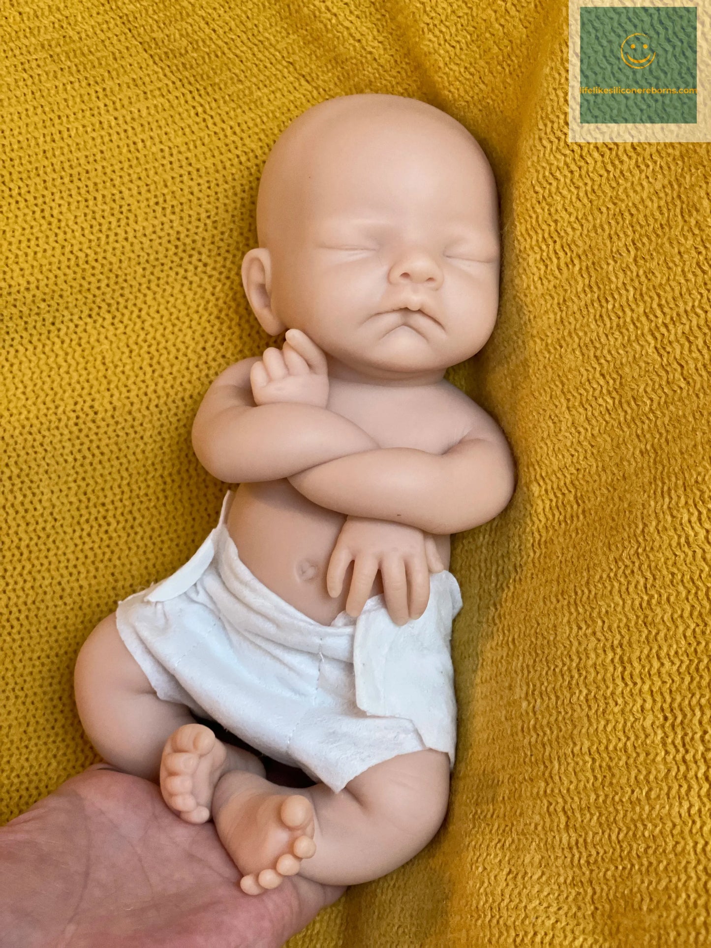 2Styles/26cm Waterproof Whole Body Silicone Bebe Reborn Girl With 3D Painted Skin Soft Touch Handmade Lifelike Newborn Girl Doll lifelikesiliconereborns.com